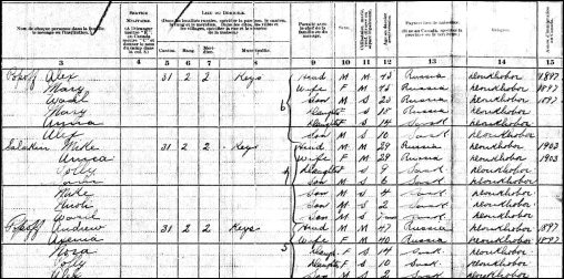 1916 census sample